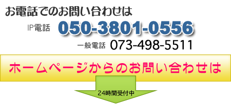 �r�Y�R���l�b�g���[�N�X�ւ̂��₢���킹�͂����炩��